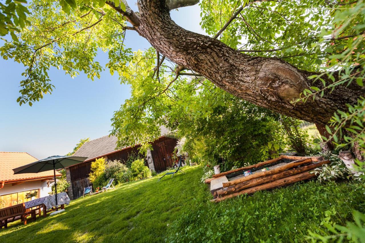 Dom Pod Orzechem Villa Łapczyce Eksteriør billede